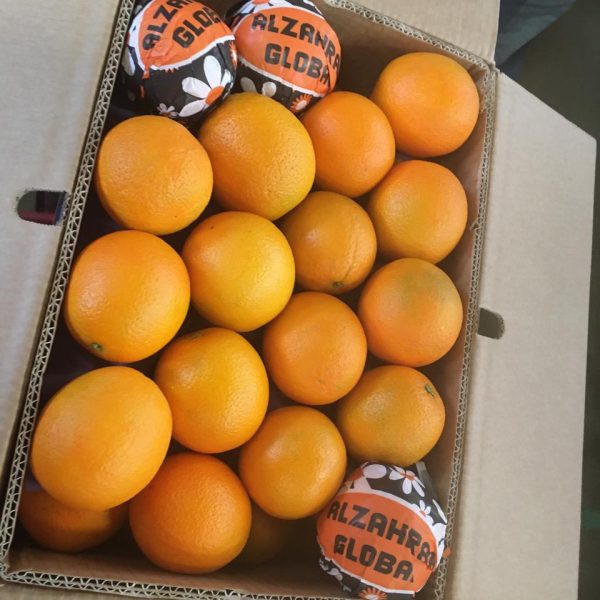 Orange supply 600x600