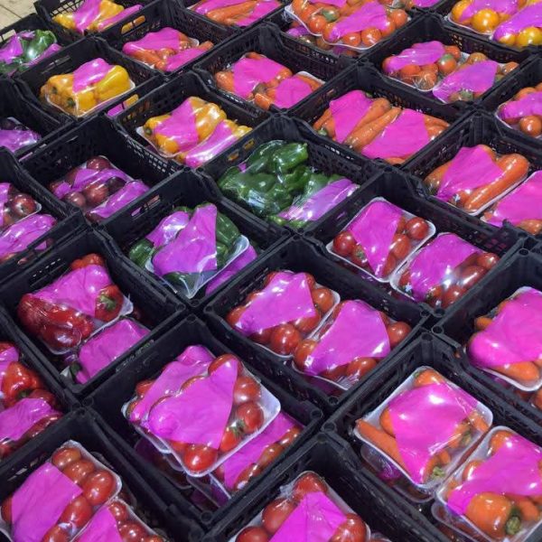 WhatsApp Image 2026 01 23 at 10 06 51 PM 1 600x600