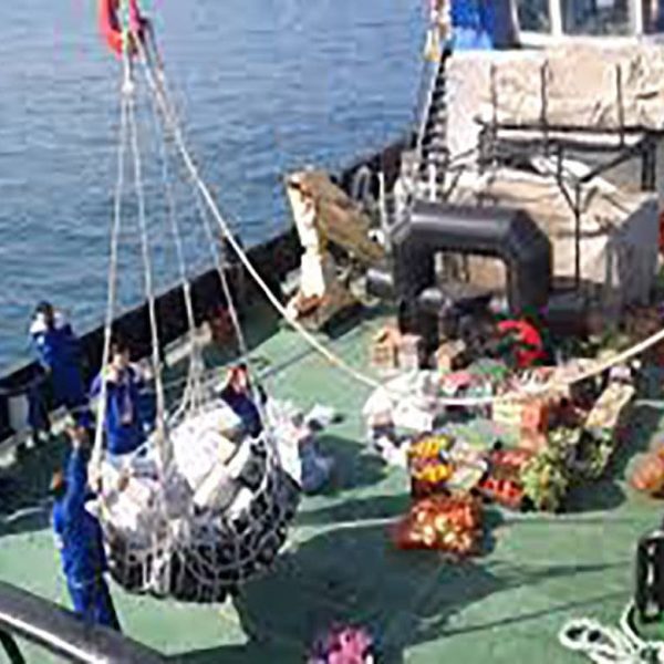 WhatsApp Image 2026 01 23 at 10 07 44 PM 1 600x600