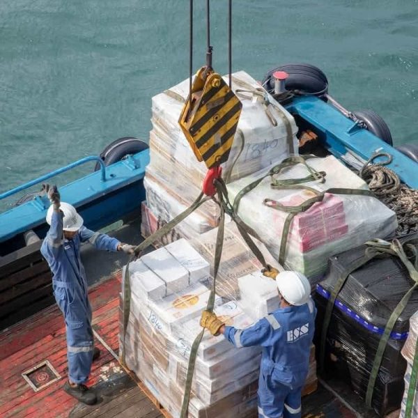 WhatsApp Image 2026 01 23 at 7 50 39 PM 600x600