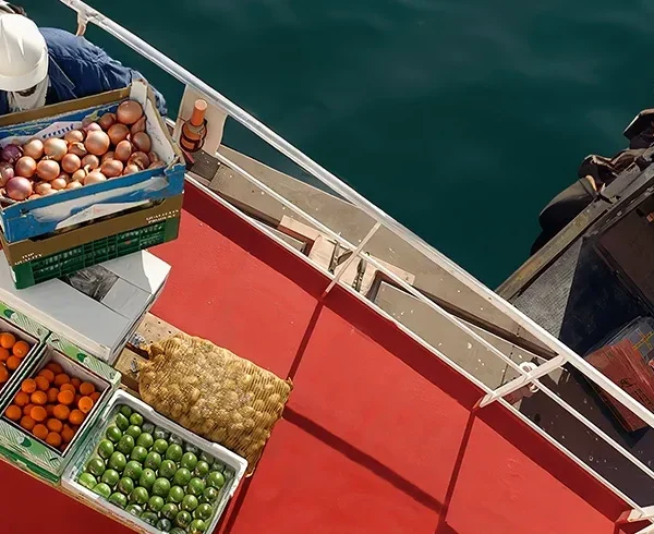 Provision stores 1 600x490