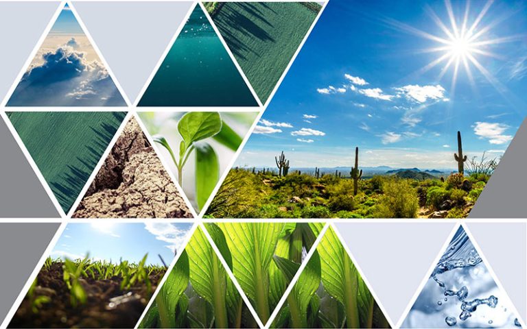 Environmental solutions 1 768x480